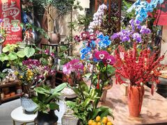 -弗劳尔花艺坊(龙涛店)