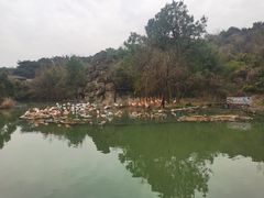 -宁波野生动物园
