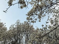-郑州植物园