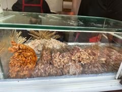 -辽B·小串(总店)
