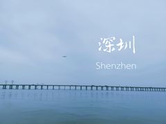 -宝安西湾红树林湿地公园