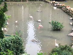 -石排湾郊野公园