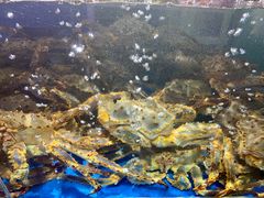 -蟹之国·精品蟹料理(极地店)