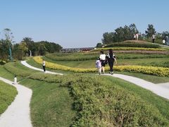 -南通洲际绿博园