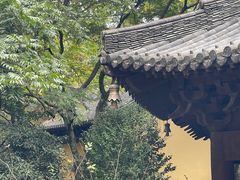-慧因高丽寺