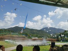 -瓷天下海丝谷