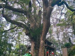 -安溪清水岩