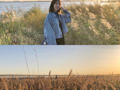 -东疆建设开发纪念公园