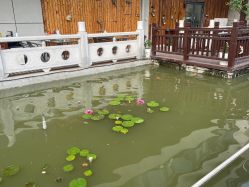 -安琪朵朵独栋花园月子中心
