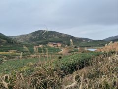 -嵛山岛