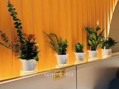 -胖太太四川麻辣排骨串(镇江路分店)