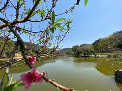 -南国桃园旅游度假区