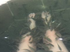 -苏州湾王焰温泉度假酒店