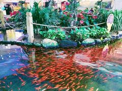 -鸿通城购物中心