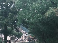 -绩溪龙川景区