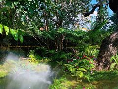 -Chom Cafe and Restaurant