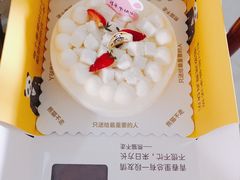 -熊猫不走蛋糕(东平店)