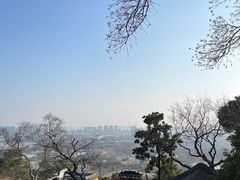 -苏州上方山国家森林公园