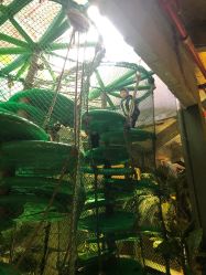 点击看大图 -恐龙探索乐园(磁器口店)