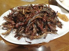 -燕郊烧鸽子(广安路店)