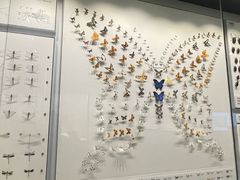 -四川大学博物馆