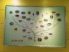 -上海昆虫博物馆