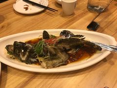清蒸石斑鱼-南海渔家•海鲜•正宗海南菜(海棠湾店)