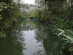 -桤木河湿地公园