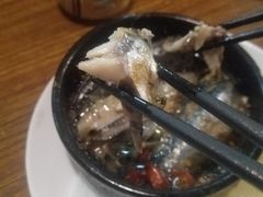蒜油沙丁鱼-VITELLO意大利料理(崂山路店)