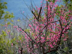 -溪口-滕头旅游景区