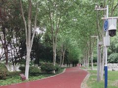 -滨湖塘西河公园