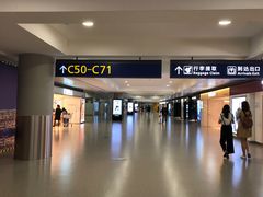 -上海浦东国际机场-T2航站楼