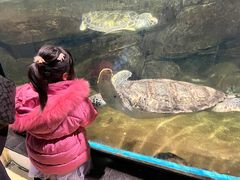 -福州罗源湾海洋世界旅游区