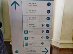 游乐设施-国家自然博物馆
