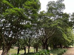 -华南师范大学(广州大学城校区)