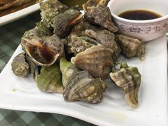 -烁佳海鲜大馅饺子