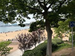 -青岛第二海水浴场