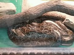 android_upload_pic-上海大自然野生昆虫馆