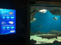 -福州罗源湾海洋世界旅游区