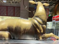 -金鼎轩(亚运村店)