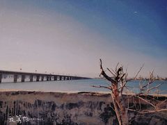 -海堤纪念公园