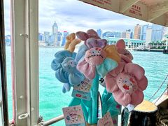 -玩具反斗城(海港城店)