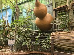 -呀路古热带植物园