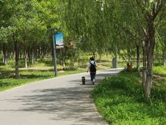 -东郊湿地公园