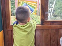 -合肥滨湖国家森林公园