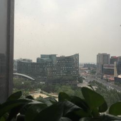 点击看大图 -玛莲朵·海菲秀冰珀科