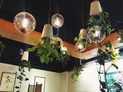 -柴务处·柴犬主题狗咖