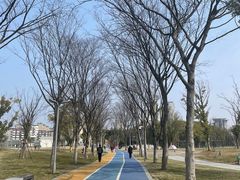 -葛仙湖公园