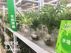 -欧尚(扬州商城江阳中路店)