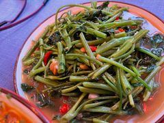 通菜-拾光音乐餐酒吧(告庄星光夜市店)